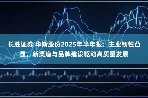长胜证券 华斯股份2025年半年报：主业韧性凸显，新渠道与品牌建设驱动高质量发展