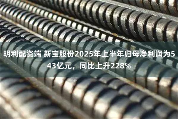 明利配资端 新宝股份2025年上半年归母净利润为543亿元,同比上升228%