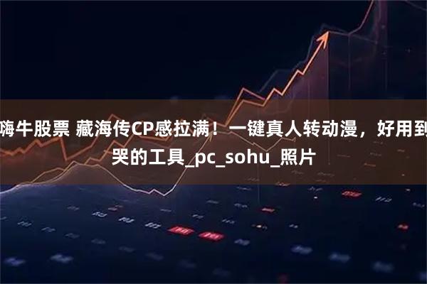 嗨牛股票 藏海传CP感拉满!一键真人转动漫,好用到哭的工具_pc_sohu_照片